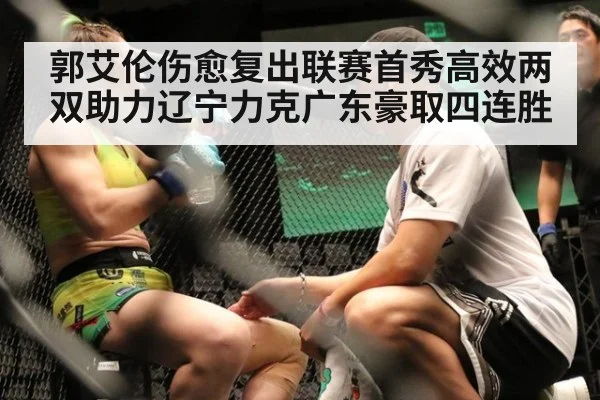 郭艾伦伤愈复出联赛首秀高效两双助力辽宁力克广东豪取四连胜