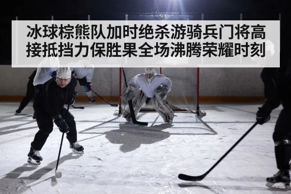ice hockey game action