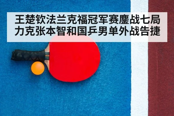 table tennis racket